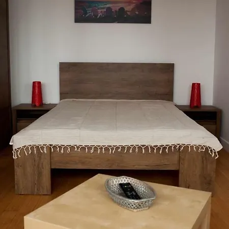 Studio Bogdan Διαμέρισμα *